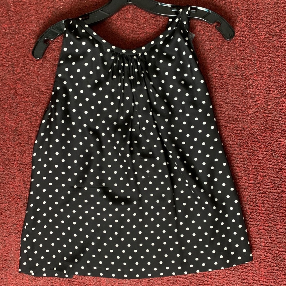 Per Se Polka dot Skirt/Blouse Set